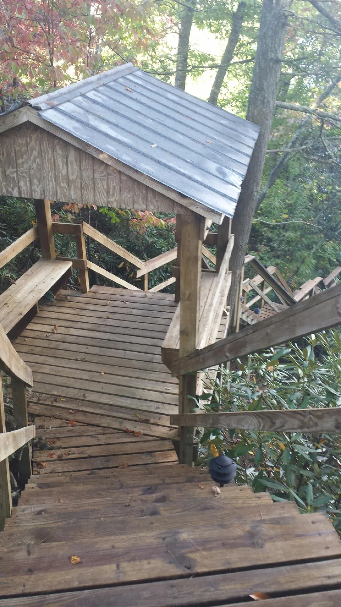 Metal roofed shelter over wooden steps on a wooded walkway — Skylight Repair & Installation work by our crew in Leroy