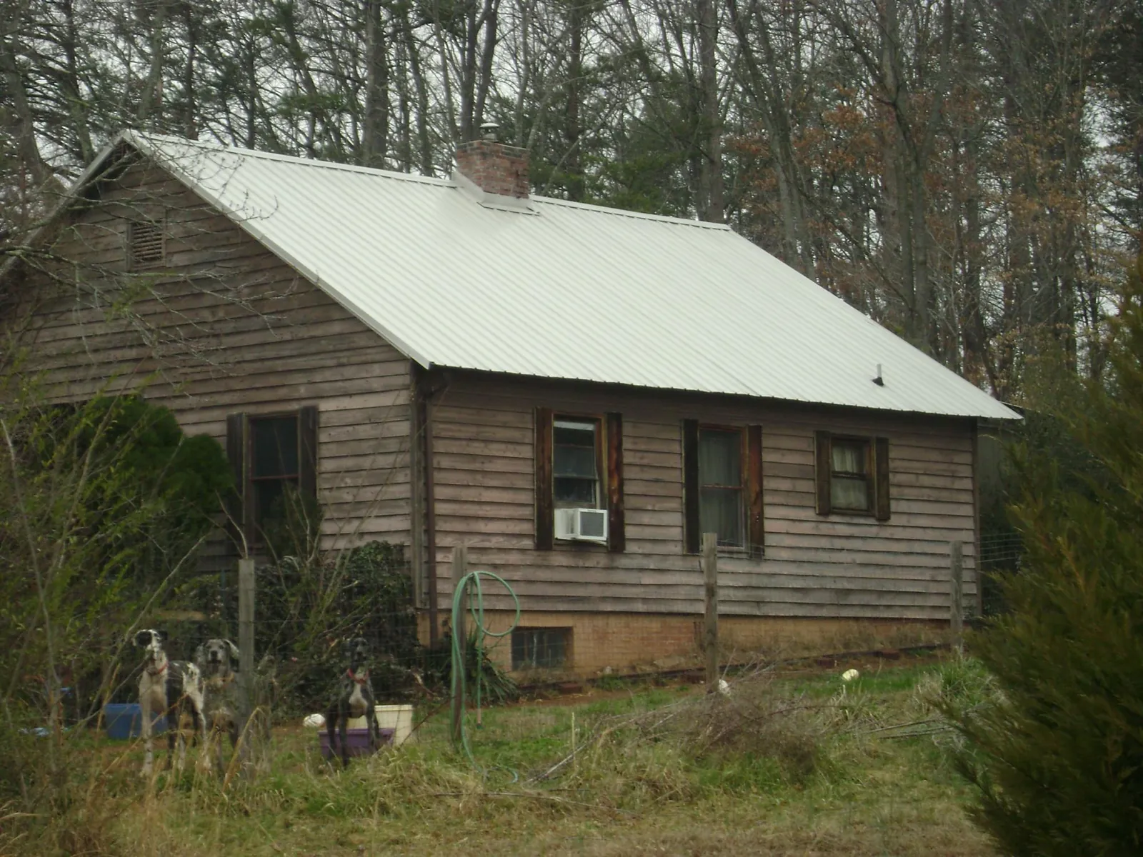 White metal roof on an old wood sided farmhouse, from a Asphalt Shingle Roof Repair job in Leroy